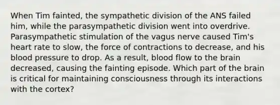 When Tim fainted, the sympathetic division of the ANS failed him, while the parasympathetic division went into overdrive. Parasympathetic stimulation of the vagus nerve caused Tim's heart rate to slow, the force of contractions to decrease, and his blood pressure to drop. As a result, blood flow to the brain decreased, causing the fainting episode. Which part of the brain is critical for maintaining consciousness through its interactions with the cortex?