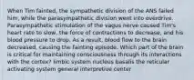 When Tim fainted, the sympathetic division of the ANS failed him, while the parasympathetic division went into overdrive. Parasympathetic stimulation of the vagus nerve caused Tim's heart rate to slow, the force of contractions to decrease, and his blood pressure to drop. As a result, blood flow to the brain decreased, causing the fainting episode. Which part of the brain is critical for maintaining consciousness through its interactions with the cortex? limbic system nucleus basalis the reticular activating system general interpretive center