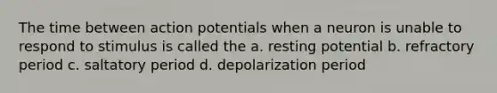 The time between action potentials when a neuron is unable to respond to stimulus is called the a. resting potential b. refractory period c. saltatory period d. depolarization period