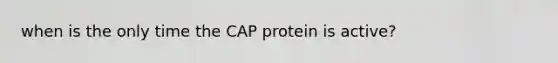 when is the only time the CAP protein is active?