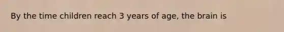 By the time children reach 3 years of age, the brain is