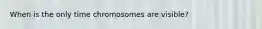 When is the only time chromosomes are visible?