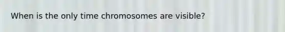 When is the only time chromosomes are visible?