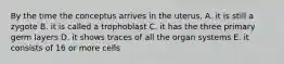 By the time the conceptus arrives in the uterus, A. it is still a zygote B. it is called a trophoblast C. it has the three primary germ layers D. it shows traces of all the organ systems E. it consists of 16 or more cells