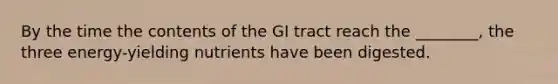 By the time the contents of the GI tract reach the ________, the three energy-yielding nutrients have been digested.