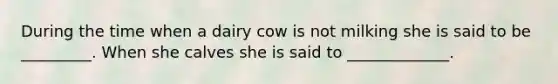 During the time when a dairy cow is not milking she is said to be _________. When she calves she is said to _____________.