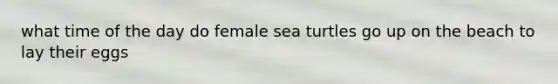 what time of the day do female sea turtles go up on the beach to lay their eggs