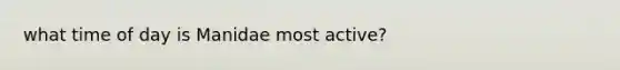 what time of day is Manidae most active?