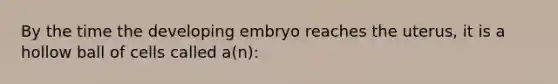 By the time the developing embryo reaches the uterus, it is a hollow ball of cells called a(n):