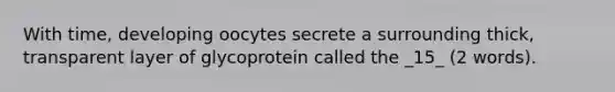 With time, developing oocytes secrete a surrounding thick, transparent layer of glycoprotein called the _15_ (2 words).