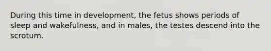 During this time in development, the fetus shows periods of sleep and wakefulness, and in males, the testes descend into the scrotum.