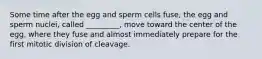 Some time after the egg and sperm cells fuse, the egg and sperm nuclei, called _________, move toward the center of the egg, where they fuse and almost immediately prepare for the first mitotic division of cleavage.