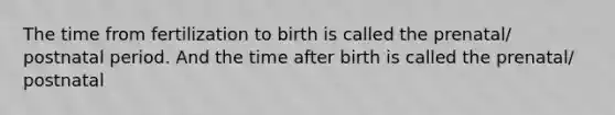 The time from fertilization to birth is called the prenatal/ postnatal period. And the time after birth is called the prenatal/ postnatal