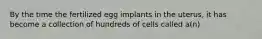 By the time the fertilized egg implants in the uterus, it has become a collection of hundreds of cells called a(n)