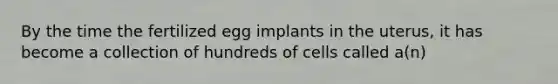 By the time the fertilized egg implants in the uterus, it has become a collection of hundreds of cells called a(n)