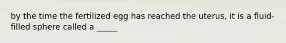 by the time the fertilized egg has reached the uterus, it is a fluid- filled sphere called a _____