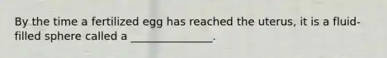 By the time a fertilized egg has reached the uterus, it is a fluid-filled sphere called a _______________.