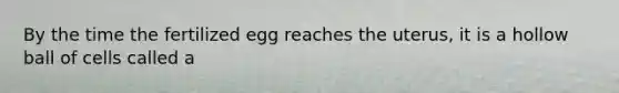 By the time the fertilized egg reaches the uterus, it is a hollow ball of cells called a