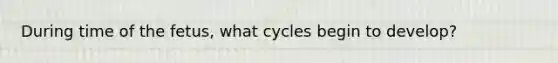 During time of the fetus, what cycles begin to develop?