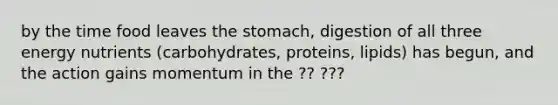 by the time food leaves the stomach, digestion of all three energy nutrients (carbohydrates, proteins, lipids) has begun, and the action gains momentum in the ?? ???