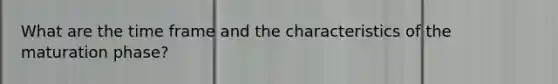 What are the time frame and the characteristics of the maturation phase?