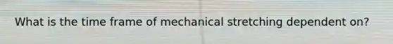 What is the time frame of mechanical stretching dependent on?