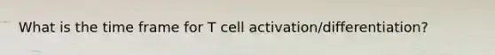 What is the time frame for T cell activation/differentiation?