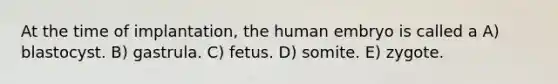 At the time of implantation, the human embryo is called a A) blastocyst. B) gastrula. C) fetus. D) somite. E) zygote.