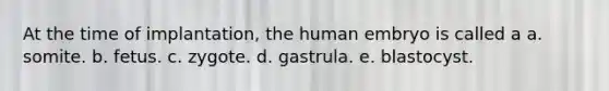 At the time of implantation, the human embryo is called a a. somite. b. fetus. c. zygote. d. gastrula. e. blastocyst.