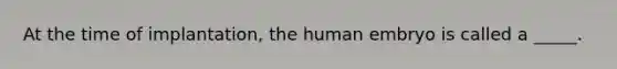 At the time of implantation, the human embryo is called a _____.