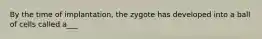 By the time of implantation, the zygote has developed into a ball of cells called a___