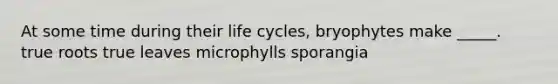 At some time during their life cycles, bryophytes make _____. true roots true leaves microphylls sporangia