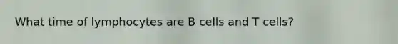 What time of lymphocytes are B cells and T cells?