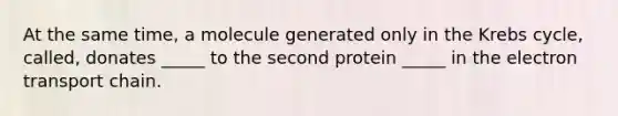 At the same time, a molecule generated only in the Krebs cycle, called, donates _____ to the second protein _____ in the electron transport chain.