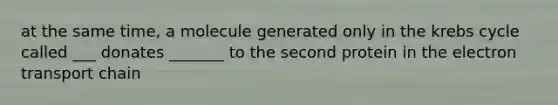 at the same time, a molecule generated only in the krebs cycle called ___ donates _______ to the second protein in the electron transport chain