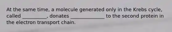 At the same time, a molecule generated only in the Krebs cycle, called __________, donates ______________ to the second protein in the electron transport chain.