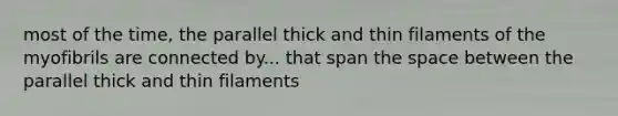 most of the time, the parallel thick and thin filaments of the myofibrils are connected by... that span the space between the parallel thick and thin filaments