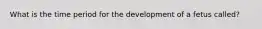 What is the time period for the development of a fetus called?