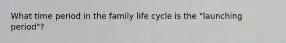 What time period in the family life cycle is the "launching period"?