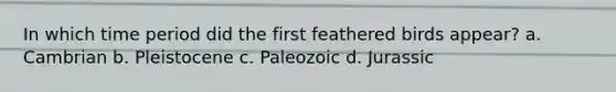 In which time period did the first feathered birds appear? a. Cambrian b. Pleistocene c. Paleozoic d. Jurassic