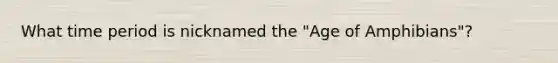 What time period is nicknamed the "Age of Amphibians"?