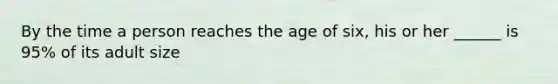 By the time a person reaches the age of six, his or her ______ is 95% of its adult size