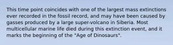 This time point coincides with one of the largest mass extinctions ever recorded in the fossil record, and may have been caused by gasses produced by a large super-volcano in Siberia. Most multicellular marine life died during this extinction event, and it marks the beginning of the "Age of Dinosaurs".