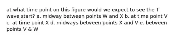at what time point on this figure would we expect to see the T wave start? a. midway between points W and X b. at time point V c. at time point X d. midways between points X and V e. between points V & W