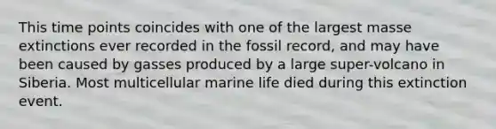 This time points coincides with one of the largest masse extinctions ever recorded in the fossil record, and may have been caused by gasses produced by a large super-volcano in Siberia. Most multicellular marine life died during this extinction event.