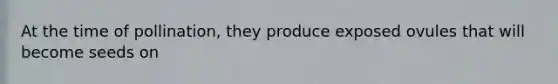 At the time of pollination, they produce exposed ovules that will become seeds on