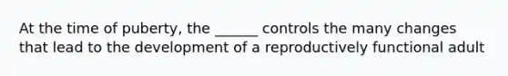 At the time of puberty, the ______ controls the many changes that lead to the development of a reproductively functional adult