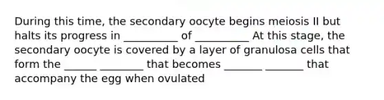 During this time, the secondary oocyte begins meiosis II but halts its progress in __________ of __________ At this stage, the secondary oocyte is covered by a layer of granulosa cells that form the ______ ________ that becomes _______ _______ that accompany the egg when ovulated