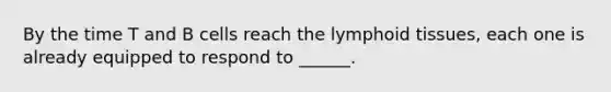 By the time T and B cells reach the lymphoid tissues, each one is already equipped to respond to ______.