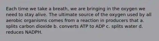 Each time we take a breath, we are bringing in the oxygen we need to stay alive. The ultimate source of the oxygen used by all aerobic organisms comes from a reaction in producers that a. splits carbon dioxide b. converts ATP to ADP c. splits water d. reduces NADPH.